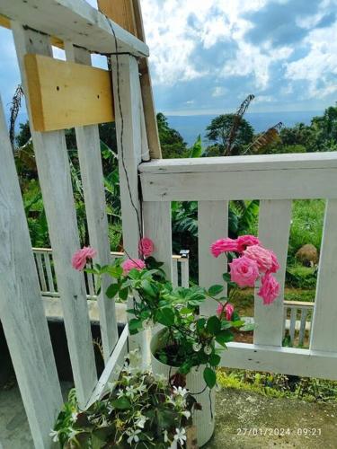 a potted plant with pink flowers on a white fence at Tanay Private Staycation house in Tanay