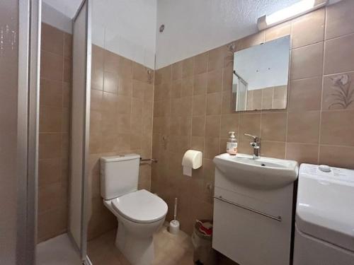 une salle de bain avec toilettes, lavabo et miroir dans l'établissement Sainte-Maxime : Appartement lumineux 2 pièces avec parking dans résidence calme - FR-1-226-536, à Sainte-Maxime