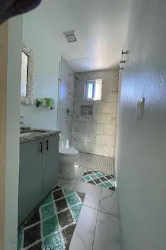 a bathroom with a shower and a toilet and a sink at Cozyhideaway in Providenciales
