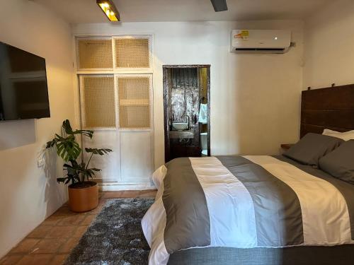 a bedroom with a bed and a plant in it at AptoPardo1945 in Mompos