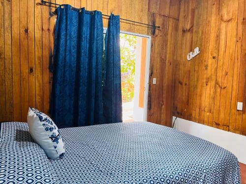 a bedroom with a bed with a pillow and a window at Blue House in Puerto Escondido