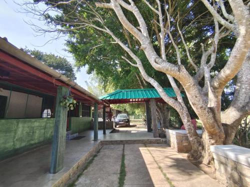 a building with a tree next to a sidewalk at Ranjo's Farm house in Chāmrājnagar