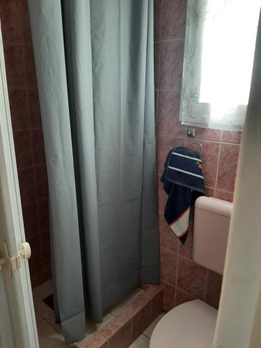 uma casa de banho com um chuveiro, um WC e uma janela. em Erdei fenyö vendeghaz em Lenti
