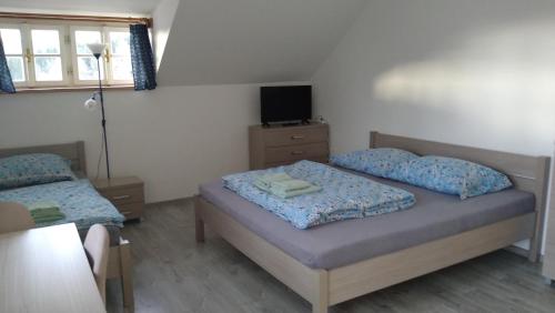 a small bedroom with two beds and a television at Rejviz apartmany in Zlaté Hory