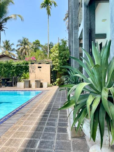 a resort with a swimming pool and palm trees at Olanro Hotel Negombo in Negombo
