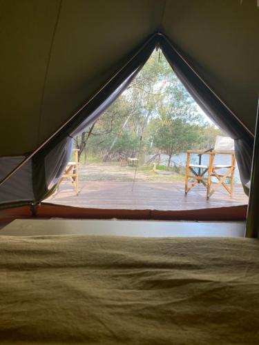 a tent with a bed and a view of a patio at Tocumwal Chocolate School Glamping in Tocumwal