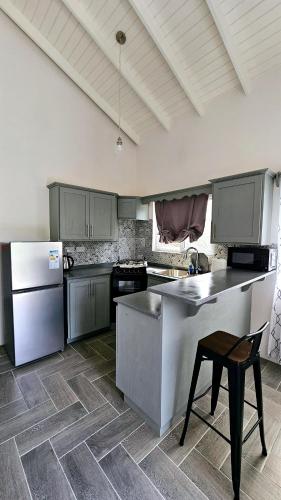 a kitchen with a refrigerator and a table in it at Ihola's Nest in Carriacou