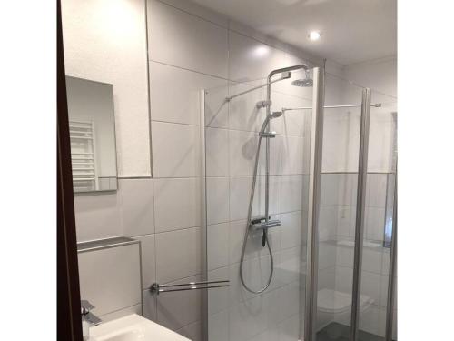 baño con ducha y puerta de cristal en Holiday home Am Beulskopf en Hemmelzen
