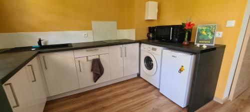 a kitchen with a sink and a washing machine at Coquet appartement à 50 m du lagon in Étang-Salé les Bains