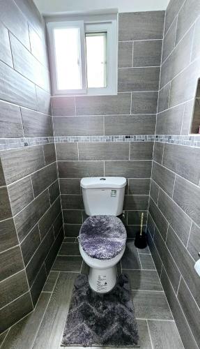 a bathroom with a toilet with a purple seat at Ihola's Nest in Carriacou