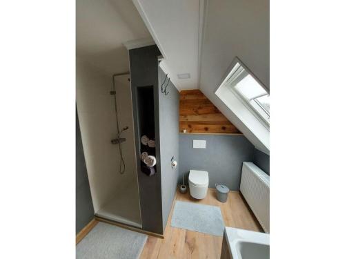 an attic bathroom with a toilet and a window at Holiday house on Bornfeld in Leimen