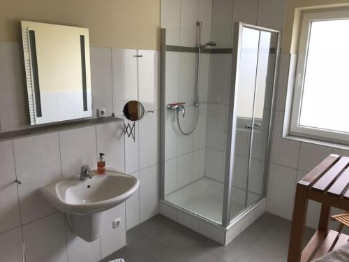 a bathroom with a shower and a sink at Holiday home Lilly in Staberdorf