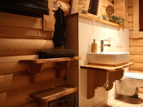 uma casa de banho com um lavatório e um WC em Holiday home Placzek em Schierke