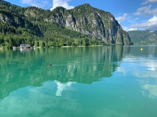 a body of water with mountains in the background at Ferienwohnung Seestern-Mondsee in Unterach am Attersee