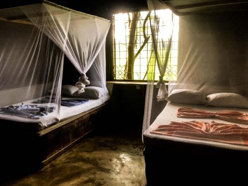 two beds in a room with mosquito nets at Habarana Eco Lodge & Safari in Habarana
