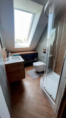 a bathroom with a shower and a sink and a toilet at Dadajowa Osada - Dadaj in Biskupiec