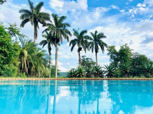a pool of blue water with palm trees in the background at Mabuda Guest Farm in Stegi