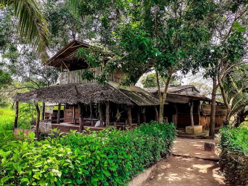 a house with a straw roof in a forest at Habarana Eco Lodge & Safari in Habarana