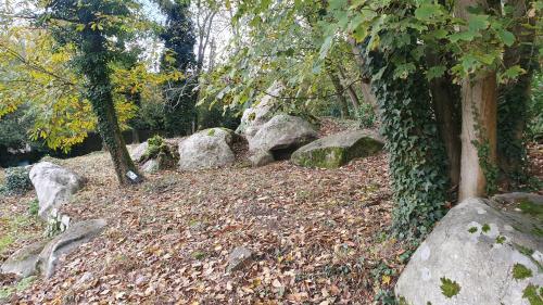 a group of rocks and trees in a forest at Le Jardin des Roches in Moigny