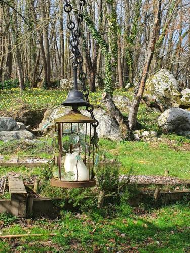 a bird feeder with a cat inside of it at Le Jardin des Roches in Moigny