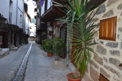 an alley with potted plants on the side of a building at CASA Apartamento RURAL AS ANDURIÑAS in San Martín de Trevejo