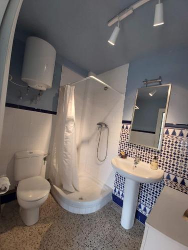 a bathroom with a toilet and a sink and a mirror at CASITA ENFRENTE DEL CASTILLO DE MEDINA in Medina de Pomar