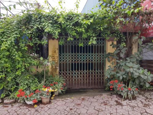 a gate with a bunch of plants and flowers at Mr. Khởi in Kim Côn