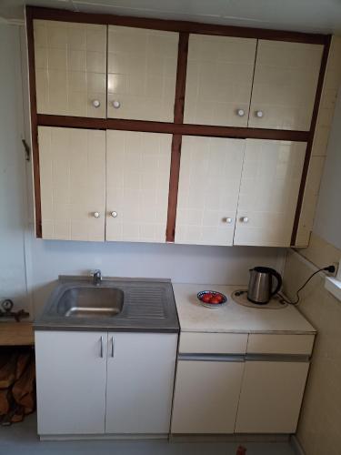 a small kitchen with a sink and a stove at Kollane Maja in Leisi