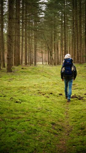 a person with a backpack walking down a trail in the woods at Remise Brasch - Zwischen Bahnhof und Elbe in Wittenberge