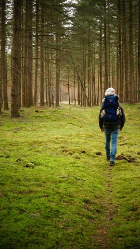 una persona con una mochila caminando por un sendero en el bosque en Remise Brasch - Zwischen Bahnhof und Elbe en Wittenberge