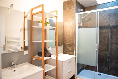 une salle de bain avec une douche, un lavabo et un miroir dans l'établissement Appartement Chaleureux au pied de la Cité avec Parking, à Carcassonne