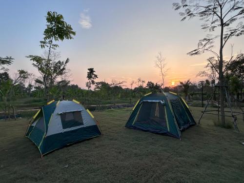 two tents in a field with the sunset in the background at Teak@Teak in Ban Cha-om