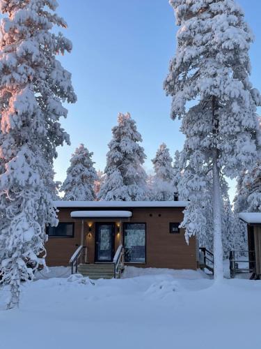 a house in the snow with snow covered trees at WALD Villas - Aavasaksa, Lapland in Aavasaksa