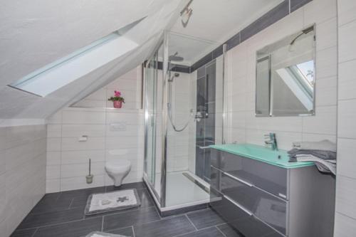a bathroom with a shower and a sink at Ferienwohnung Kollmer in Ebern