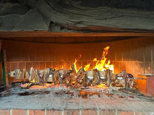 LoceriにあるAgriturismo Su Barraccuの煉瓦窯の窯で調理