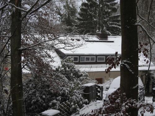 a house with a snow covered roof at Wohnen im Wald in Alte Drusel