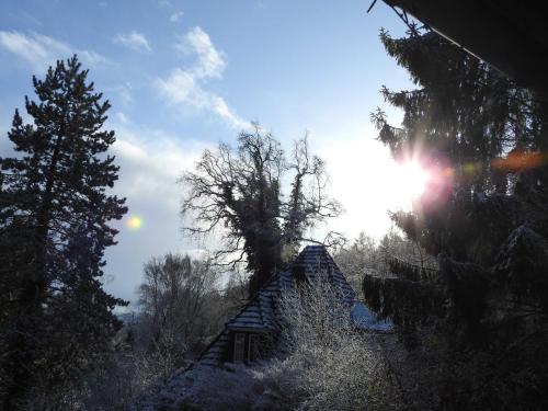a house in the snow with the sun in the background at Wohnen im Wald in Alte Drusel