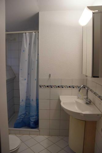 a bathroom with a shower and a sink at Wohnen im Wald in Alte Drusel