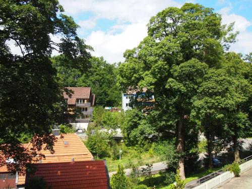 vistas a una ciudad con árboles y edificios en Apartment Harzgrün en Sankt Andreasberg