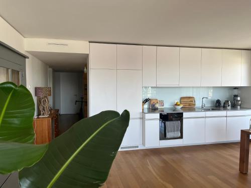 una cocina con armarios blancos y una planta en el primer plano en DynastyConcept Luxury, en Risch-Rotkreuz