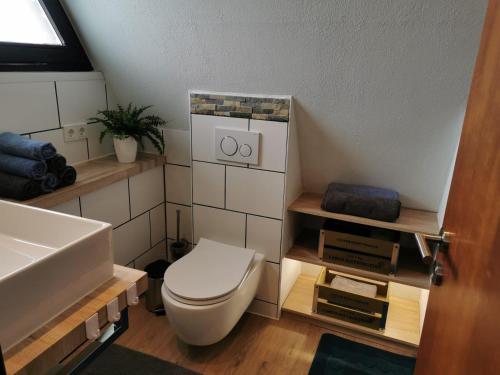 a bathroom with a white toilet and a sink at Eifelferienhaus Wald- und Wiesenblick in Dockweiler