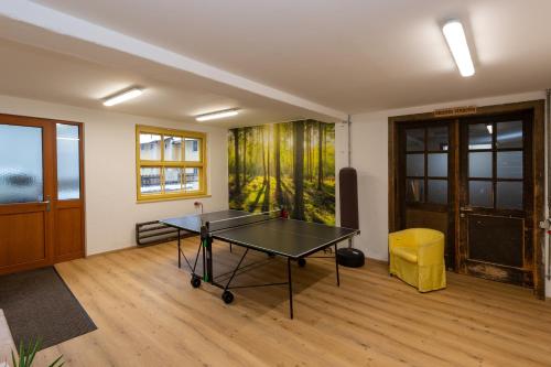 a room with a ping pong table in it at Gästehaus Haffner in Zell am See