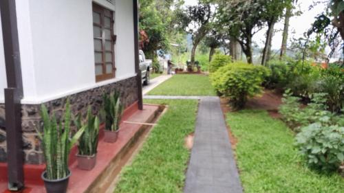 a garden with plants and a house at Rajavilla in Haputale