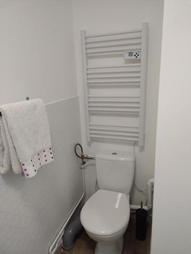 baño con aseo blanco y toalla en Studio indépendant location courte durée à proximité de Lycée International en Saint-Germain-en-Laye