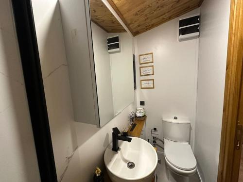 a small bathroom with a toilet and a sink at Tiny House Bungalow - Pool, Jacuzzi, Winter Garden in Izmir