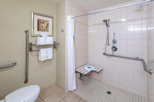 Hampton Inn Milford في ميلفورد: حمام مع دش ومرحاض