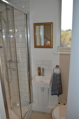 a bathroom with a shower and a sink and a toilet at Wimbledon Views in London