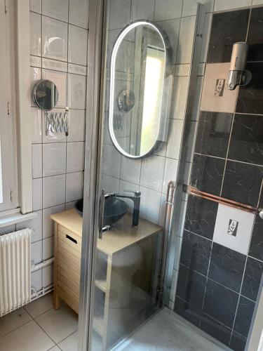 グラヴリーヌにあるmaison douves gravelinesのバスルーム(シャワー、洗面台、鏡付)