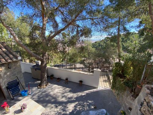 a patio with a tree and a white fence at Alojamiento Turístico Casa Elvira in Yecla