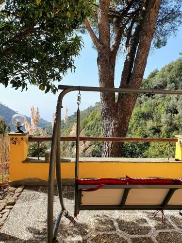 a swing in front of a tree at Agriturismo Costa di Campo in Vernazza